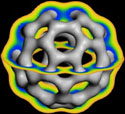 Accelrys - Electron density isosurface of buckminster fullerene