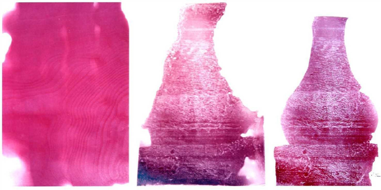 http://www.nanotech-now.com/images/Art_Gallery/RS-self-assembling-vase.jpg