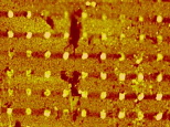 MIT - DNA dots