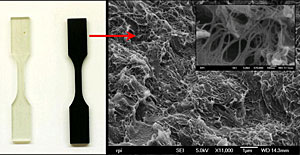Rensselaer nanotube material