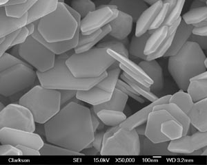 NanoDynamics - Silver Platelets