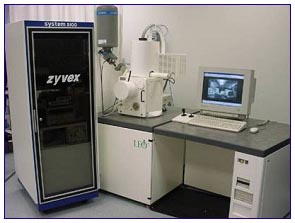 Zyvex - S100 Nanomanipulator system in a LEO SEM