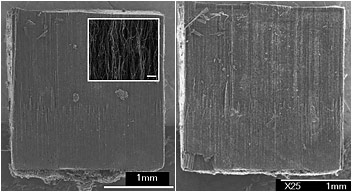 A block of carbon nanotubes before (left) and after (right) being compressed more than 500,000 times. There is virtually no difference in shape, mechanical integrity or electrical conductivity. This resistance to wear and tear is similar to the behavior of soft tissues such as a shoulder muscle or stomach wall.
Photo Credit: Victor Pushparaj