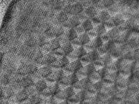 Lattice image of a grain of composition fow which both chessboard and diamond contrast are apparent. The scale bars are 20nm.

Credit: University of Pennsylvania