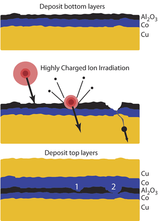 Cartoon illustrates new NIST technique for selectively modifying resistance of a semiconductor device layer. (Top) First layerin this case a composite of copper and cobaltand an insulating buffer layer of aluminum oxide is deposited. Buffer is about one nanometer thick. (Middle) Highly charged xenon +44 ions strike the buffer layer, digging nanoscale pits. (Bottom) Top conducting layer of cobalt and copper is deposited. Pits reduce the electrical resistance of the layers and may function as nanoscale GMR sensors embedded in a MTJ sensor.

Credit: NIST