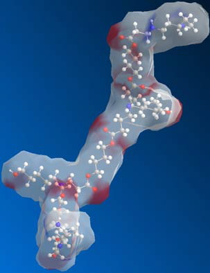 Structure of a piece of a biodegradable polymer used for gene delivery. Image / Jordan Green - MIT