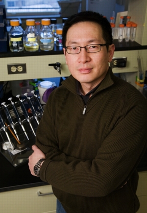 Photo by L. Brian Stauffer

The rapid development of bacterial resistance to conventional antibiotics has become a major public health concern. Gerard Wong, an Illinois professor, and colleagues at the University of Massachusetts have made a discovery that could shorten the road to new and more potent antibiotics.