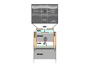 NIST's modified field-effect transistor can count single photons, or particles of light. When light enters through the transmission window (see electron micrograph of top of device), it penetrates the gallium arsenide absorbing layer and separates electrons from the holes they formerly occupied. Quantum dots (red dots) trap the positively charged holes, while electrons flow into the channel (green Xs). By measuring the channel current, researchers can determine the number of photons absorbed.

Credit: NIST