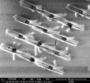 Researchers in Maryland report an advance toward making zinc oxide nanowires (shown) on an industrial scale. Courtesy of Babak Nikoobakht, National Institute of Standards and Technology