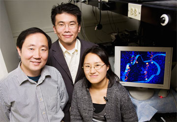 Photo by L. Brian Stauffer

Chemistry professor Yi Lu, left, physics professor Taekjip Ha and graduate research assistant and lead author Hee-Kyung Kim have found clear evidence that a lead-specific DNAzyme uses the lock and key reaction mechanism. In the presence of zinc or magnesium, however, the same DNAzyme uses the  induced fit reaction mechanism, similar to that used by ribozymes.