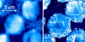 An atomic force microscope normally reveals the topography of a composite material (l.) NIST's new apparatus adds software and electronics to map nanomechanical properties (r.) The NIST system reveals that the glass fibers are stiffer than the surrounding polymer matrix but sometimes soften at their cores.

Credit: DC Hurley/NIST