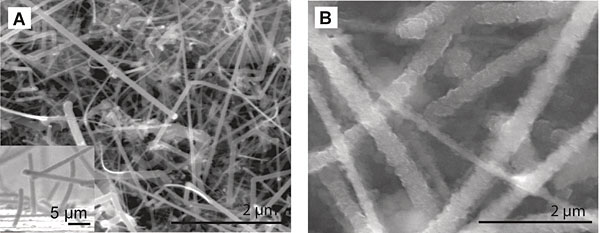 Photos taken by a scanning electron microscope of silicon nanowires before (left) and after (right) absorbing lithium. Both photos were taken at the same magnification.