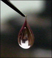 A sac formed by the self-assembly of small and large molecules can be used to instantly encapsulate stem cells. (The culture medium gives the sac its pink color.)  2008 Science