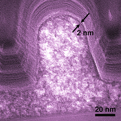 Electron micrograph shows a cross-section of a typical SOG microcircuit feature. Nanoporous regions in the interior are lighter. The process forms a dense, stronger skin about 2 nanometers thick on the outside. (Color added for clarity.)

Credit: NIST
