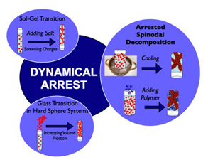 Solid-like materials can be obtained via a variety of different arrest mechanisms. In the case of medium strength attractive particles, gels can form via an arrested spinodal decomposition process.