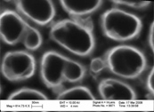 Nanotubes Under High Magnification, Courtesy of T. Webster, Brown University

