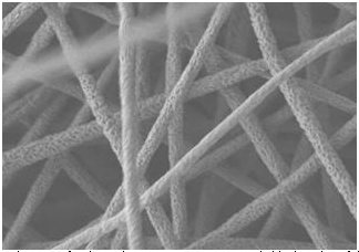 Scientists report development of a plastic that is 10 times more stretchable than that of the original material. Above is a micrograph of the electrospun nano-sized fibers.
Courtesy of the American Chemical Society 