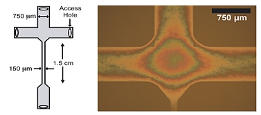 Left: Schematic of a T-junction nanofluidic device with a "nanoglassblown" funnel-shaped entrance to a nanochannel. The funnel tapers down to 150 micrometers (about the diameter of a human hair) at the nanochannel entrance.
Right: Photomicrograph of the T-junction with the first section of the nanochannel visible at the bottom. The colors are a white light interference pattern caused by the changing depth of the curved glass funnel.

Credit: Elizabeth Strychalski, Cornell University