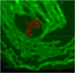 Total internal reflection fluorescence (TIRF) microscope time-lapse image of quantum-dot labeled proteins fluorescing on the surface of a cell membrane.