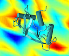 In this image, a ribbon of protein stands in the foreground against a computer-simulation of a stress field in a glassy material (like a sugar-glass) in the background. Researchers at NIST have developed a fast, inexpensive and effective method for evaluating the sugars pharmaceutical companies use to stabilize protein-drugs for storage at room temperature.

Credit: NIST