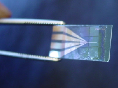 Tweezers hold the device used to test MIT's new components for microbatteries (batteries themselves are invisible in this image).