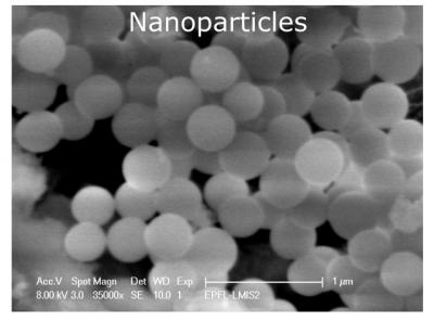 Borosilicate glass nanoparticles.

Credit: Martin Gijs, EPFL