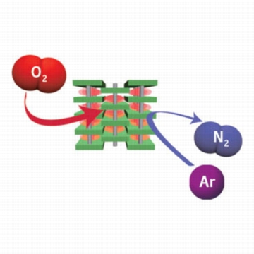 Figure 1: Selective gas adsorption of flexible PCPs. The onset pressure for the gate-opening process is lower for oxygen (O2) than for nitrogen (N2) and argon (Ar). As a result, within a certain pressure range, only oxygen adsorbs. 