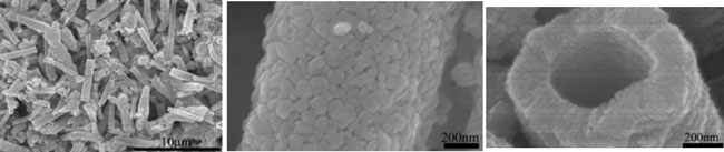 Figure 1. Images for tungsten oxide nanotubes by a scanning electron microscope.