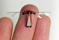 A bioinspired robotic fly fabricated using microengineering.

Images courtesy of Rob Wood