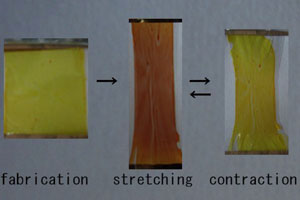 Figure 1 Chromism of Polymer 1 thin film before and after stretching