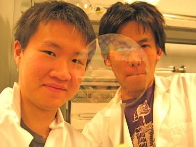 See-through circuit makers: Hsaioh-Kang Chang, left, and Fumiaki Ishikawa, are pictured with their transparent, flexible transistor array.

Credit: USC Viterbi School of Engineering