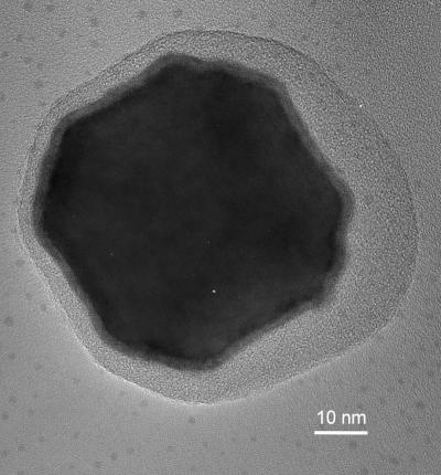 This is a transmission electron micrograph of the magnetic nanoparticles that will be used in this study.

Credit: Credit: Professor Chris Binns, Department of Physics and Astronomy, University of Leicester