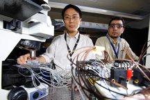 Purdue graduate students Han-Sheng Chuang and Ahmed Amin use a microscope and other equipment to watch the performance of a prototype lab on a chip capable of being programmed to carry out a variety of jobs. The innovation is a step toward more widespread use of the miniature analytical tools used to measure everything from blood glucose to viruses and bacteria to genes. (Purdue News Service photo/Andrew Hancock)