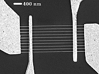 Scanning electron microscope image shows ten graphene nanoribbons between each pair of electrodes.