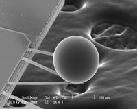 Measuring only around one tenth of a millimeter, the tiny ball seen in this image is pulled toward a smooth plate (unseen but positioned above the ball in this configuration), in response to the energy fluctuations in the vacuum of empty space. The attraction between the ball and the plate is the Casimir effect. Image credit: U. Mohideen, UC Riverside.
