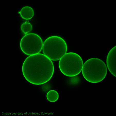 Agar microgels coated with a bi-layer of chitosan and fluorescein labelled alginate imaged by confocal microscopy 