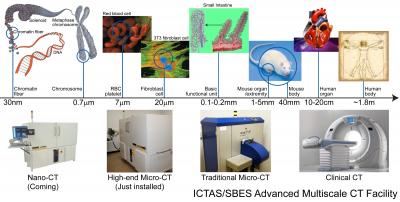 Virginia Tech's advanced multi-scale computed tomography facilities will soon include a Xradia Nano-CT system, and already has a Xradia Micro-CT system, and a Scanco micro-CT system, covering a wide range of image resolutions and sample sizes over six orders of magnitude. The instrumentation is shown on the bottom, and the resulting images are above.

Credit: Ge Wang, Virginia Tech
