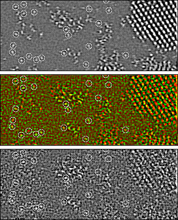 Uranium single atoms (circled) and small crystallites on a carbon support imaged simultaneously using a scanning probe to produce forward scattering through the sample (top) and backward scattering emerging from the surface (bottom). Center panel shows superimposition of the two in red (bulk) and green (surface). Atoms not seen in the lower image are on the bottom surface of the support.