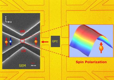 (Left) Scanning electron micrograph of the quantum point contact schematically illustrates unpolarized (spin up and spin down) electrons incident on the left coming out of the device spin-polarized with spin up. (Right) Spatial distribution of spin polarization in the quantum point contact constriction.

Credit: Illustration by Professor Philippe Debray, University of Cincinnati
