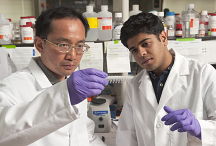 Jeff Wang, an associate professor of mechanical engineering, and biomedical engineering doctoral student Vasudev Bailey examine samples of modified DNA during a new test designed to detect early genetic clues linked to cancer. Photo by Will Kirk

