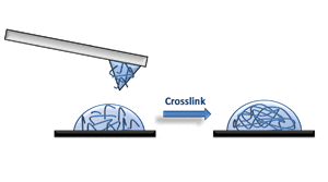 Hydrogel precursors are deposited using DPN followed by a crosslinking step.