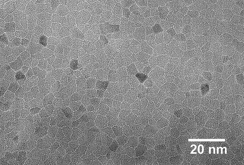 An electron microscopy image of titanium nitride, on which the effect of superinsulation was first observed.  Courtesy Argonne National Laboratory. 