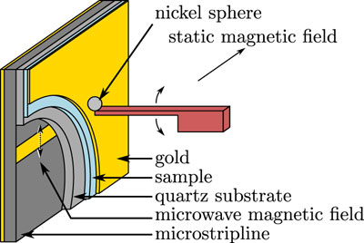 A schematic of John Marohn's scanned-probe electron spin resonance experiments, with the oscillating cantilever in the middle and the nickel tip that was attached by hand. Eric Moore