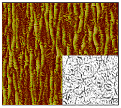 This atomic-force microscopy image shows wrinkling in a single-wall carbon nanotube membrane; the inset shows an optical reflection micrograph of the membrane without any strain. The random arrangement of the nanotubes shown in the inset creates conductivity, but wrinkling can disrupt that. Each image is 40 micrometers in width. Credit: NIST
