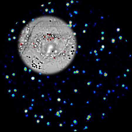 New research findings suggest that an experimental ultrasensitive imaging technique that uses a pulsed laser and tiny metallic "nanocages" might enable both the early detection and treatment of disease. This composite image shows luminous nanocages, which appear like stars against a black background, and a living cell, at upper left. The gold-silver nanocages exhibit a bright "three-photon luminescence" when excited by the ultrafast pulsed laser, with 10-times greater intensity than pure gold or silver nanoparticles. The signal allows live cell imaging with negligible damage from heating. (Purdue University graphic/Ji-Xin Cheng) 