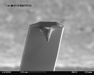 Electron microscopy allows us to see the cantilever of an atomic force microscope. This cantilever applies force to a surface, producing an accurate image of the surface. Courtesy of Wikimedia Commons.