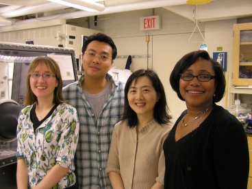 From left, students Betar Gallant and Seung Woo Lee and professors Yang Shao-Horn and Paula Hammond, in one of the labs where the use of carbon nanotubes in lithium batteries was researched. 