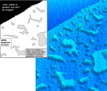 Atomic force micrograph of a one-atom thick sheet of graphene trapping water on a mica surface. The ice crystals (lightest blue) are the height of a two-water-molecule thick ice crystal. This first layer of water is ice, even at room temperature. At high humidity levels, a second layer of water will coat the first layer, also as ice. At very high humidity levels, additional layers of water will coat the surface as droplets. [Credit: Heath group/Caltech]