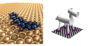 Image shows a quadrupedal molecular machine trotting  diagonally opposite hooves move together. The researchers found that this form of movement distorted the molecular species far too much to be viable. Image credit: Bartels lab, UC Riverside. 