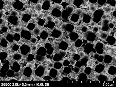 Microscopic pores dot a silicon wafer prepared for use in a lithium-ion battery. Silicon has great potential to increase the storage capacity of batteries, and the pores help it expand and contract as lithium is stored and released. (Credit: Biswal Lab/Rice University)
